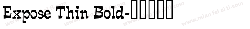 Expose Thin Bold字体转换